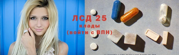 прущие грибы Алексин