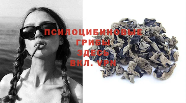 прущие грибы Алексин