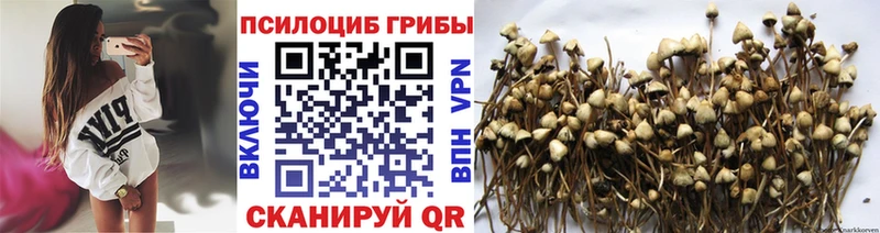 МЕГА зеркало  Струнино  Галлюциногенные грибы Cubensis 